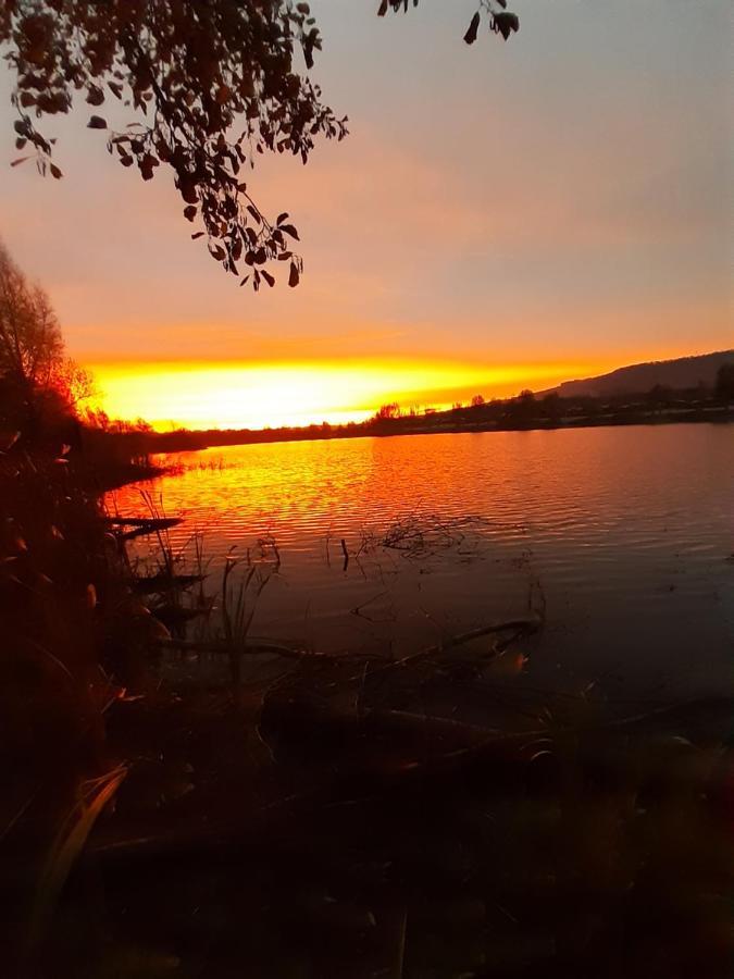 Ferienhaus Am Weserberglandsee Lauenforde Εξωτερικό φωτογραφία