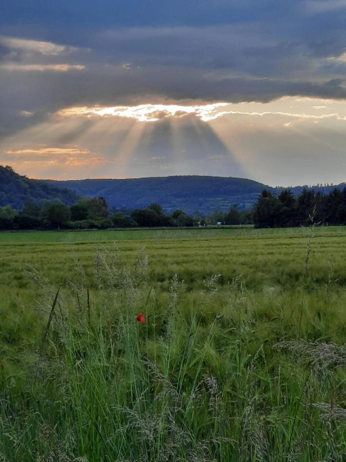 Ferienhaus Am Weserberglandsee Lauenforde Εξωτερικό φωτογραφία